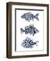 Blue Fish II-Emma Scarvey-Framed Art Print