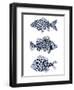 Blue Fish II-Emma Scarvey-Framed Art Print