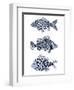 Blue Fish II-Emma Scarvey-Framed Art Print