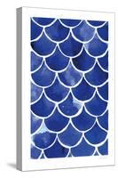 Blue Fish Waves-Mercedes Lopez Charro-Stretched Canvas