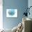 Blue Fish-Irena Orlov-Premium Giclee Print displayed on a wall