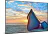 Blue Fisherman Boats and Sunrise-laurentiu iordache-Mounted Photographic Print