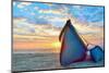 Blue Fisherman Boats and Sunrise-laurentiu iordache-Mounted Photographic Print