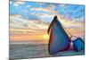 Blue Fisherman Boats and Sunrise-laurentiu iordache-Mounted Photographic Print