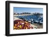 Blue Fishing Boats in Essaouira Port, Formerly Mogador, Morocco, North Africa, Africa-Matthew Williams-Ellis-Framed Photographic Print