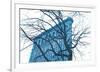 Blue Flatiron-Erin Clark-Framed Giclee Print