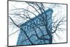 Blue Flatiron-Erin Clark-Mounted Art Print