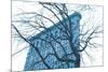 Blue Flatiron-Erin Clark-Mounted Art Print