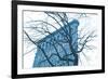 Blue Flatiron-Erin Clark-Framed Art Print