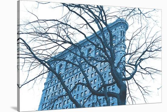 Blue Flatiron-Erin Clark-Stretched Canvas