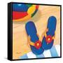 Blue Flip Flops-Paul Brent-Framed Stretched Canvas