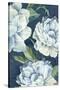 Blue Floral Composition II-Alex Black-Stretched Canvas