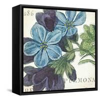 Blue Floral-Hugo Wild-Framed Stretched Canvas