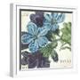 Blue Floral-Hugo Wild-Framed Art Print