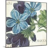 Blue Floral-Hugo Wild-Mounted Art Print