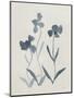 Blue Florals I-Pamela Munger-Mounted Art Print