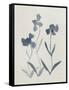 Blue Florals I-Pamela Munger-Framed Stretched Canvas