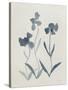 Blue Florals I-Pamela Munger-Stretched Canvas