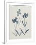 Blue Florals I-Pamela Munger-Framed Art Print