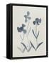 Blue Florals I-Pamela Munger-Framed Stretched Canvas