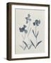Blue Florals I-Pamela Munger-Framed Art Print