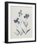 Blue Florals I-Pamela Munger-Framed Art Print