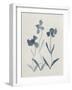 Blue Florals I-Pamela Munger-Framed Art Print