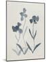Blue Florals I-Pamela Munger-Mounted Art Print