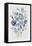 Blue Florals II-Asia Jensen-Framed Stretched Canvas