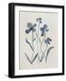 Blue Florals II-Pamela Munger-Framed Art Print