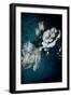 Blue Flower 2-Incado-Framed Photographic Print