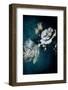 Blue Flower 2-Incado-Framed Photographic Print