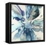 Blue Flower Explosion-Randy Hibberd-Framed Stretched Canvas