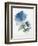 Blue Flower Garden III-Asia Jensen-Framed Art Print