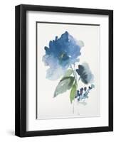 Blue Flower Garden III-Asia Jensen-Framed Art Print