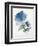 Blue Flower Garden III-Asia Jensen-Framed Art Print