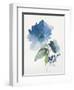 Blue Flower Garden III-Asia Jensen-Framed Art Print