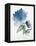 Blue Flower Garden III-Asia Jensen-Framed Stretched Canvas