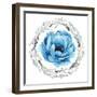 Blue Flower II-Elizabeth Medley-Framed Photographic Print