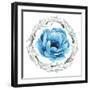 Blue Flower II-Elizabeth Medley-Framed Photographic Print