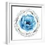 Blue Flower II-Elizabeth Medley-Framed Photographic Print