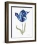 Blue Flower Stem I-Stellar Design Studio-Framed Art Print