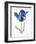 Blue Flower Stem I-Stellar Design Studio-Framed Art Print