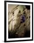 Blue Flower with Blurred Background-Clive Nolan-Framed Photographic Print