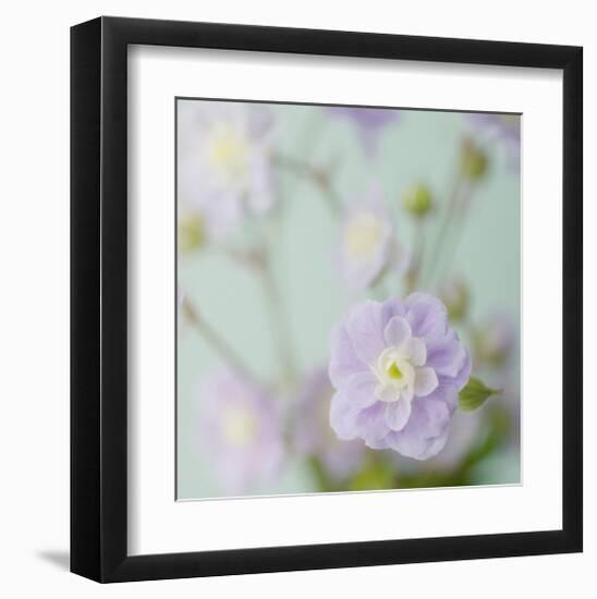 Blue Flower-Judy Stalus-Framed Art Print