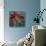 Blue Flower-Michelle Abrams-Stretched Canvas displayed on a wall