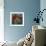 Blue Flower-Michelle Abrams-Framed Premium Giclee Print displayed on a wall