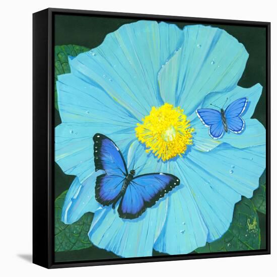 Blue Flower-Scott Westmoreland-Framed Stretched Canvas