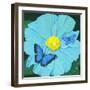 Blue Flower-Scott Westmoreland-Framed Art Print