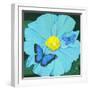 Blue Flower-Scott Westmoreland-Framed Art Print